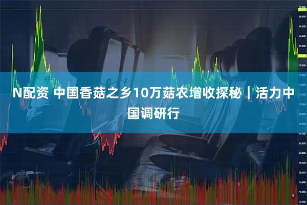 N配资 中国香菇之乡10万菇农增收探秘｜活力中国调研行