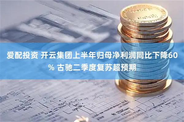 爱配投资 开云集团上半年归母净利润同比下降60% 古驰二季度复苏超预期
